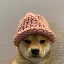 WIF图标